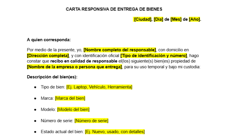 Carta Responsiva de Entrega de Bienes: Qué es, cómo se hace y modelo